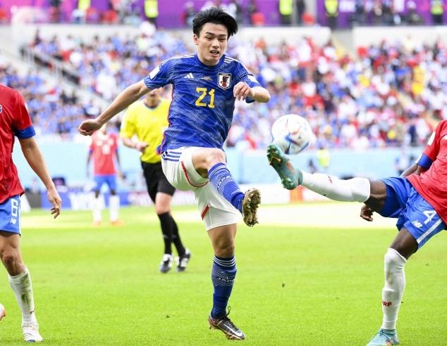 组织和快速 组织和快速